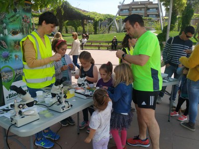 Unes 60 persones descobreixen els artròpodes que viuen a la ciutat 