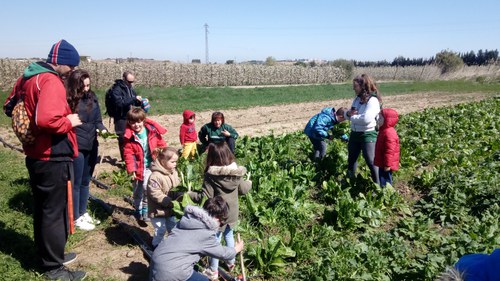 Imatge de la notícia Visita a l’hort ecològic de La Cristaleria Germina al Viver d’Agricultors de Rufea 