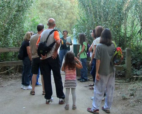 Imatge de la notícia Visita al parc de la Mitjana quan es fa fosc