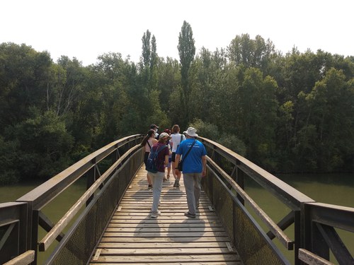 Imatge de la notícia Visita guiada a La Mitjana per conèixer les plantes del bosc de ribera 