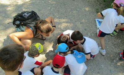 Visites escolars per descobrir la fauna de la Mitjana