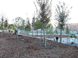 Imatge de la notícia Plantada d'arbres al nou bosc urbà de Lleida, a Balàfia