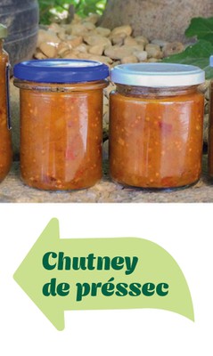 Chutney pressec